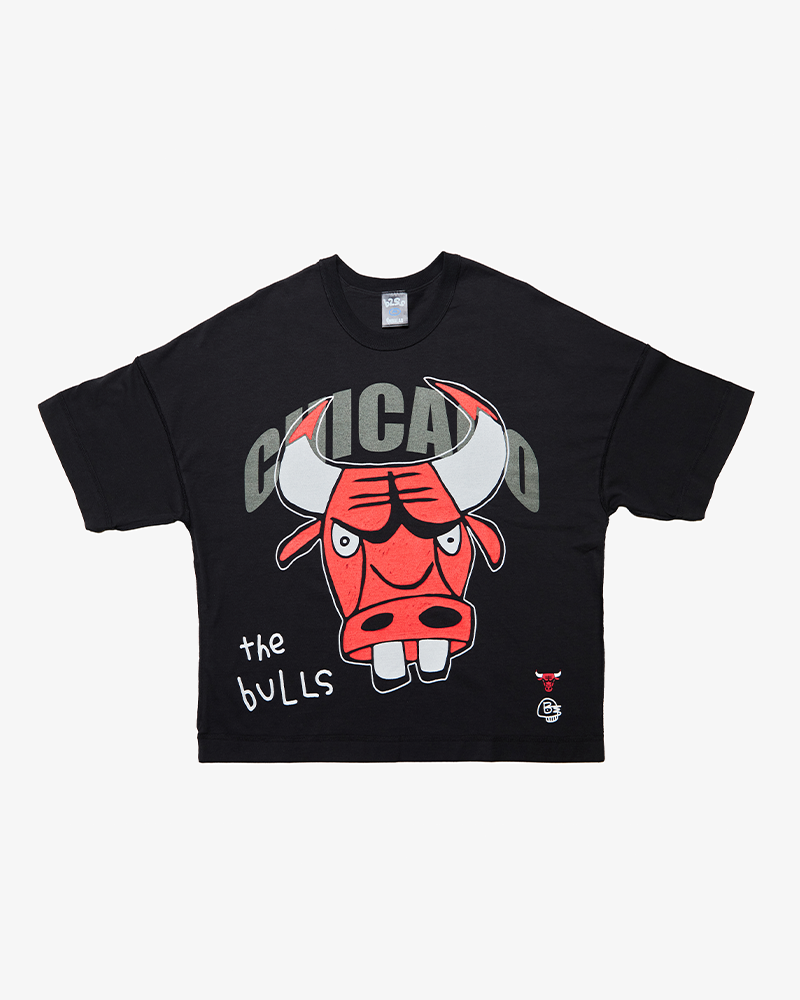 Chicago bulls t shirt mens sales
